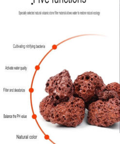 Premium volcanic lava chips