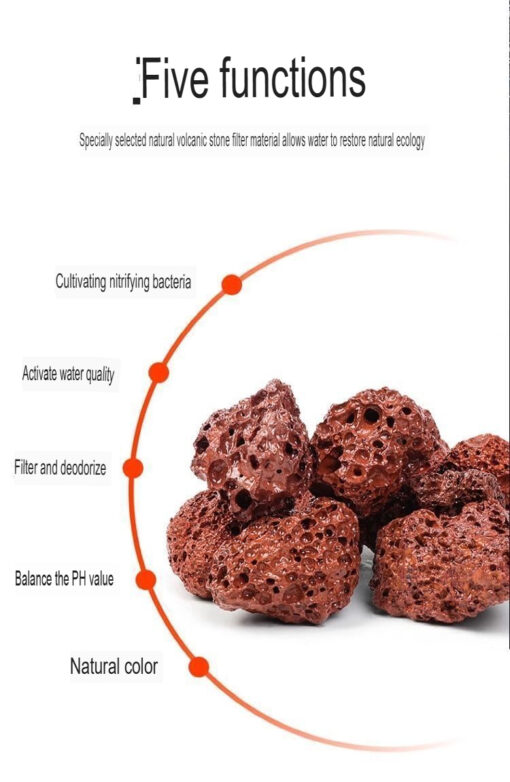 Premium volcanic lava chips