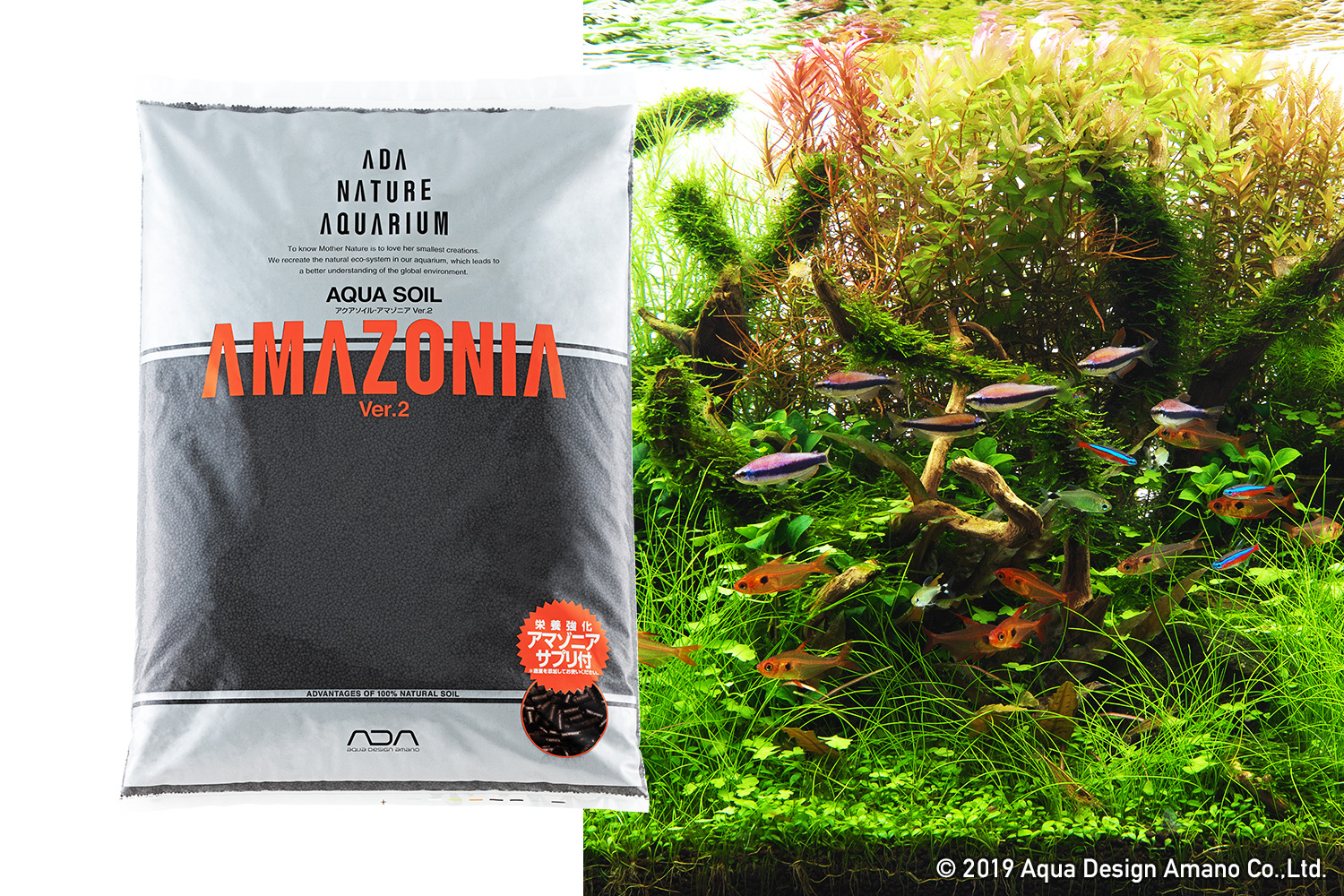 ADA Amazonia V2 - Image 3