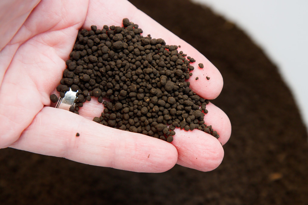 ADA Amazonia V2 - Image 2